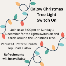 Christmas Lights Switch On